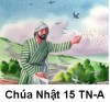 Suy niệm Tin Mừng Chúa Nhật TN 15-A: Bài 101-150: Kìa, có người gieo giống đi gieo lúa