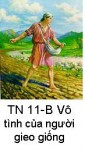 Suy Niệm Tin Mừng Chúa Nhật 11 TN-B Bài 1-50: Sự vô tình của người gieo giống