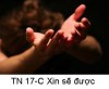 Suy Niệm Tin Mừng Chúa Nhật TN 17-C: Bài 201-203: Anh em cứ xin thì sẽ được