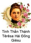 TINH THẦN THÁNH TÊRÊSA