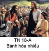 Suy niệm Tin Mừng Chúa Nhật 18 TN–A Bài 101-129: Mọi người đều ăn no
