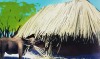 Năm Sửu nói chuyện Trâu - CÁI ĐUÔI TRÂU - Đời Đạo 7