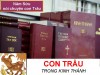 CON TRÂU TRONG KINH THÁNH - Năm Sửu kể chuyện trâu có mầu Kinh Thánh - Đời Đạo 9
