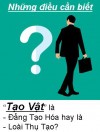 Tạo Vật là Đấng Tạo Hóa hay Loài Thụ Tạo? - những điều cần biết