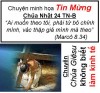 Chuyện minh họa Tin Mừng Chúa Nhật Bài 24 - TN 24 –B: Chuyện Chúa Giêsu không biết làm kinh tế