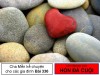 LỜI TÂM SỰ CỦA HÒN ĐÁ CUỘI - Chuyện cha Mễn kể cho các gia đình Bài 336