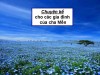 Cha Mễn kể chuyện cho các gia đình