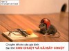CHUYỆN CON CHUỘT VÀ CÁI BẪY CHUỘT - Chuyện cha Mễn kể cho các gia đình Bài 356