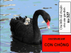 CHUYỆN MẸ GHẺ CON CHỒNG - Chuyện cha Mễn kể cho các gia đình Bài 327