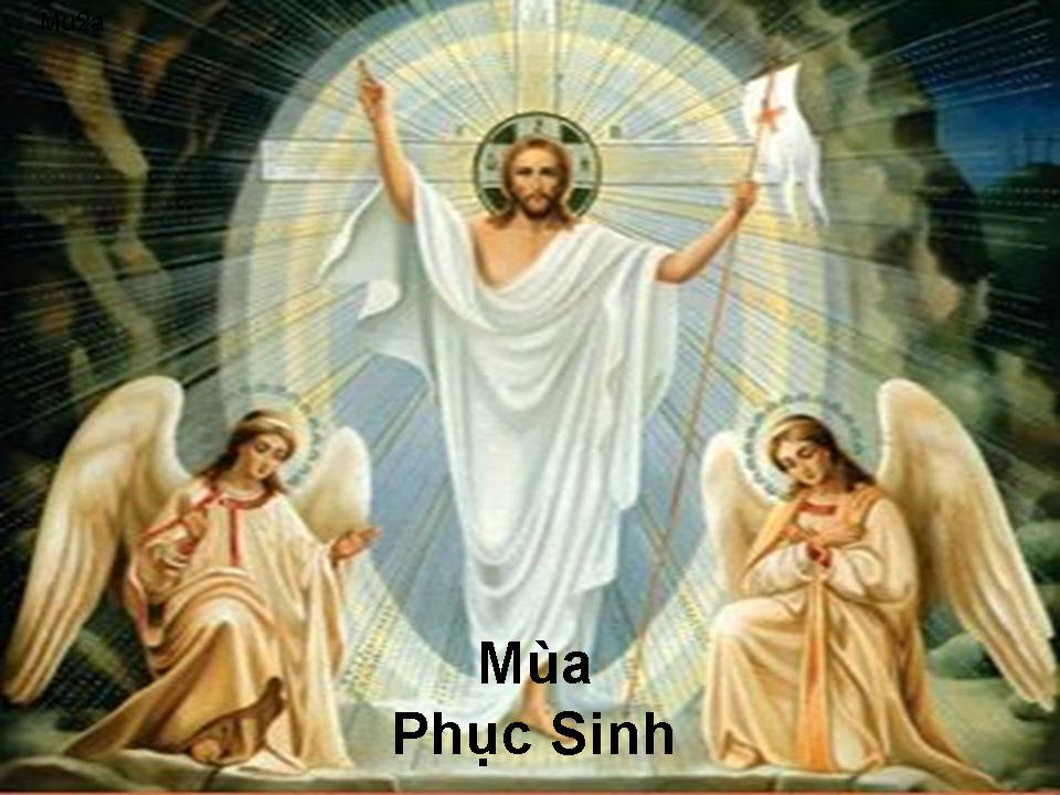Suy Niệm Tin Mừng PS 1 & thứ7 Vọng -ABC Bài 201-250 Chúa đã sống lại rồi