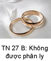 Suy Niệm Tin Mừng Chúa Nhật TN 27-B Bài 101-124 Sự gì Thiên Chúa đã kết hợp, loài người không được phân ly