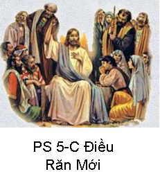 Suy Niệm Tin Mừng Chúa Nhật PS 5-C: Bài 201-211 Hãy yêu thương nhau như Thầy đã yêu