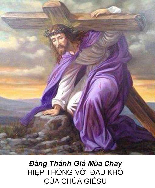 DANG THANH GIA MC