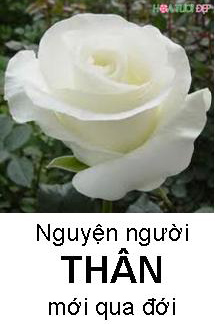 Nguyện người THÂN mới qua đời - Bài Hát