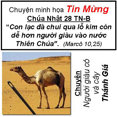 Chuyện minh họa Tin Mừng Chúa Nhật Bài 27 - TN 28-B: Chuyện người Giàu Có và Thánh Giá Chúa