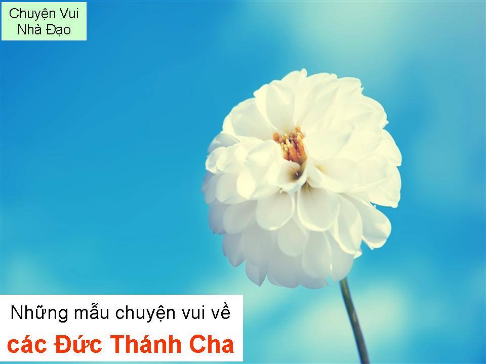VÀI MẪU CHUYỆN VUI HÀI HƯỚC CỦA CÁC ĐỨC GIÁO HOÀNG - Đời Đạo 140