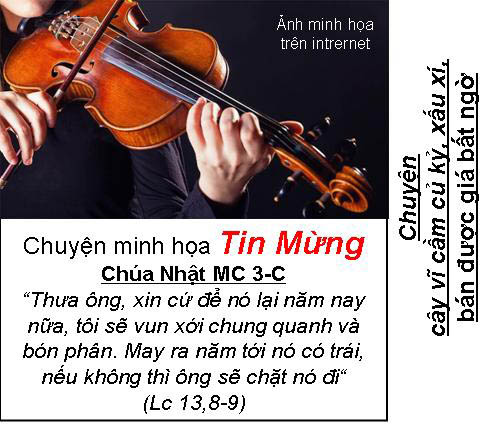 Chuyện minh họa Tin Mừng Chúa Nhật Bài 49 - MC 3-C:Chuyện cây vĩ cầm củ kỷ, xấu xí, bán được giá bất ngờ
