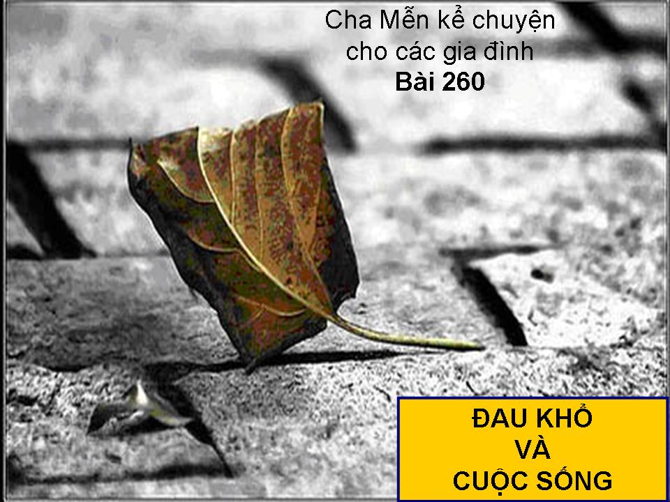 Cha Mễn kể cho các gia đình 258