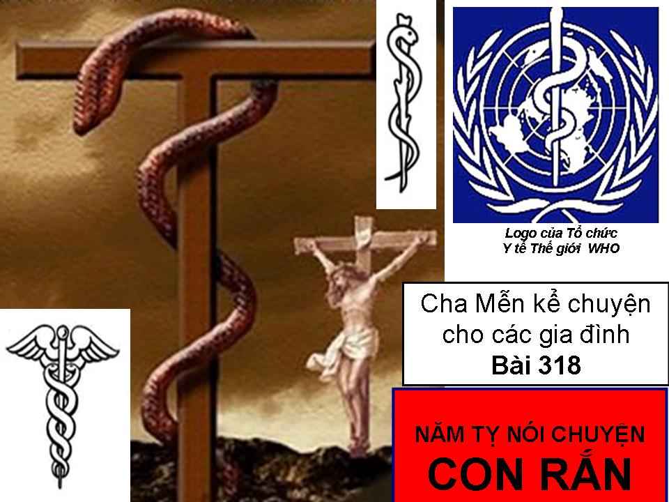 NĂM TỴ NÓI CHUYỆN CON RẮN - Chuyện cha Mễn kể cho các gia đình Bài 318