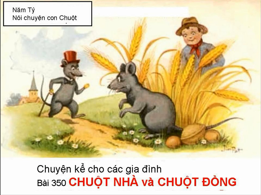 CHUỘT NHÀ VÀ CHUỘT ĐỒNG - Chuyện cha Mễn kể cho các gia đình Bài 350