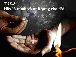 Chuyện minh họa Tin Mừng Chúa Nhật Bài 086: TN 5-A Hãy là Muối và là Ánh sáng cho đời