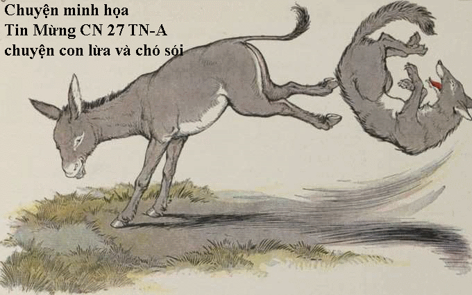 Chuyện Minh Họa Tin Mừng Chúa Nhật Bài 121 TN 27-A Chuyện con chó sói làm thầy lang