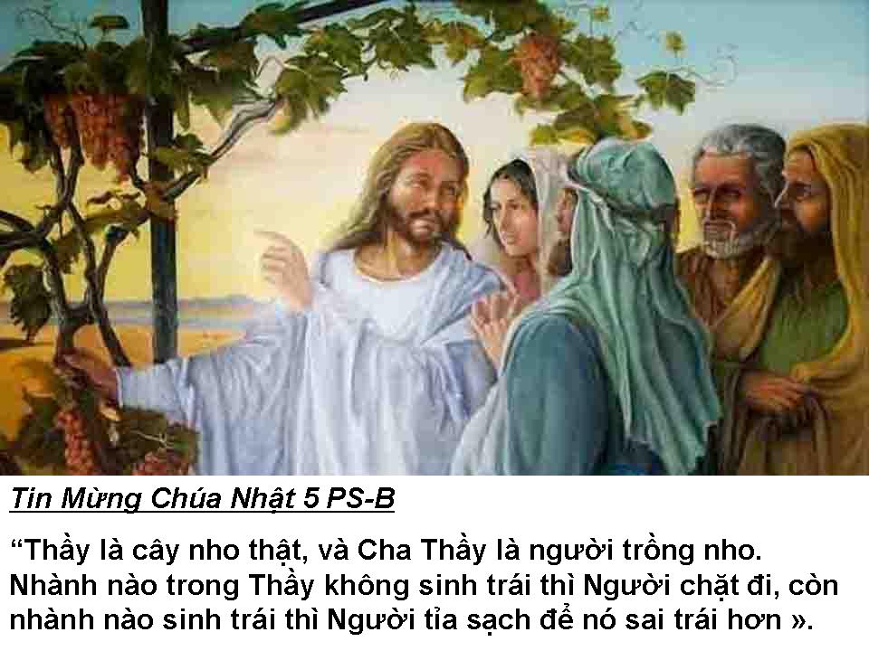 Chuyện Minh Họa Tin Mừng Chúa Nhật Bài 151 - PS 5B Chuyện ống điện thoại ở một văn phòng luật sư