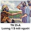 Suy niệm Tin Mừng Chúa Nhật 25 TN-A Bài 151-153 Những thợ làm vườn nho