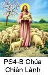 Suy Niệm Tin Mừng Chúa Nhật PS 4-B Bài 151-200 Chúa Nhật Chúa Chiên Lành Cầu cho ơn thiên triệu Linh mục và tu sĩ