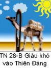 Suy Niệm Tin Mừng Chúa Nhật TN 28-B: Bài 201-206: Ngươi hãy đi bán tất cả gia tài rồi đến theo Ta