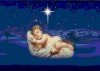 Chuyện minh họa Tin Mừng Lễ Giáng Sinh ABC Bài 084: Chuyện “Số Con Rệp”