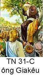 Suy Niệm Tin Mừng Chúa Nhật TN 31-C Bài 101-150: Ông Da-kêu, chứng nhân của lòng thương xót